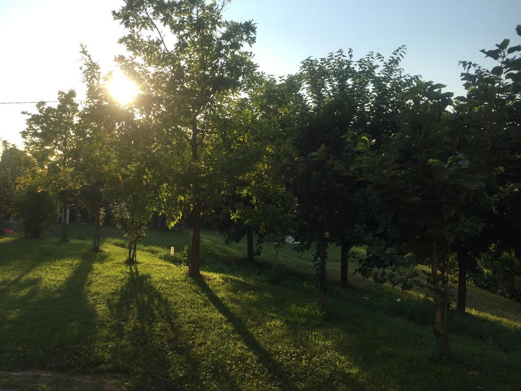 B&B Nido Sui Laghi San Donnino della Nizzola Εξωτερικό φωτογραφία