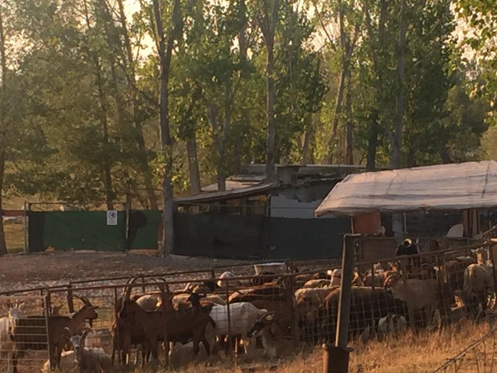 B&B Nido Sui Laghi San Donnino della Nizzola Εξωτερικό φωτογραφία