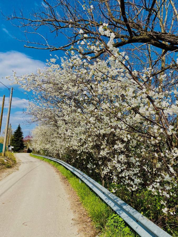 B&B Nido Sui Laghi San Donnino della Nizzola Εξωτερικό φωτογραφία